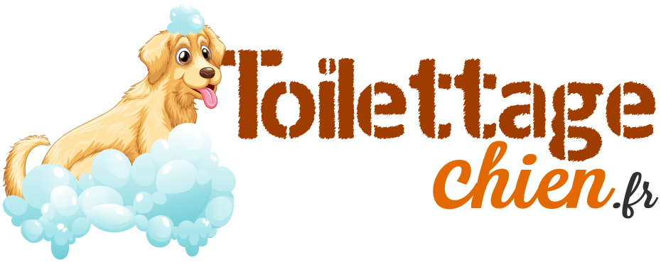 Toilettage Chien